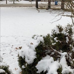 Meet your Posher, Justin